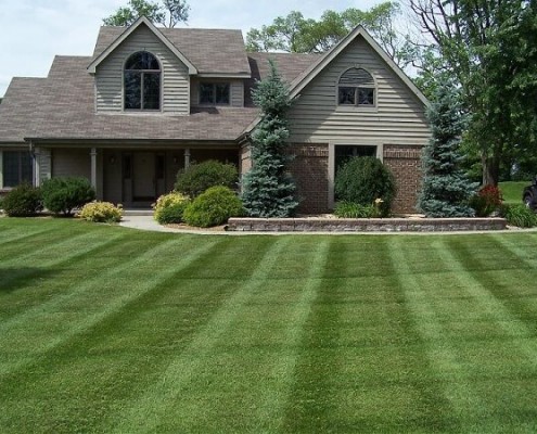 How to Keep a Howell Lawn Looking Polished All Season
