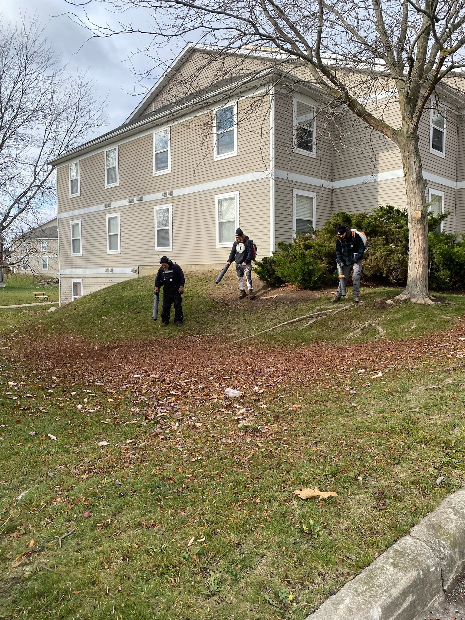 Fall Leaf Cleanup: Why It Matters Before Winter