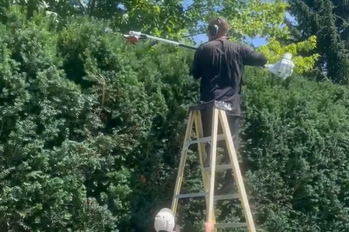 Shrub & Tree Trimming by Timberline Outdoor Services